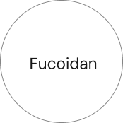 Fucoidan